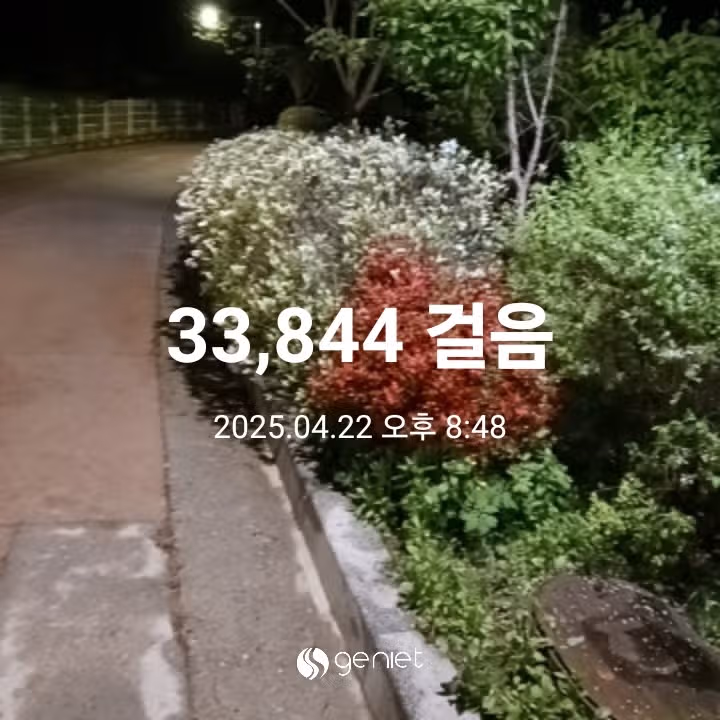 삼만보 걷기 