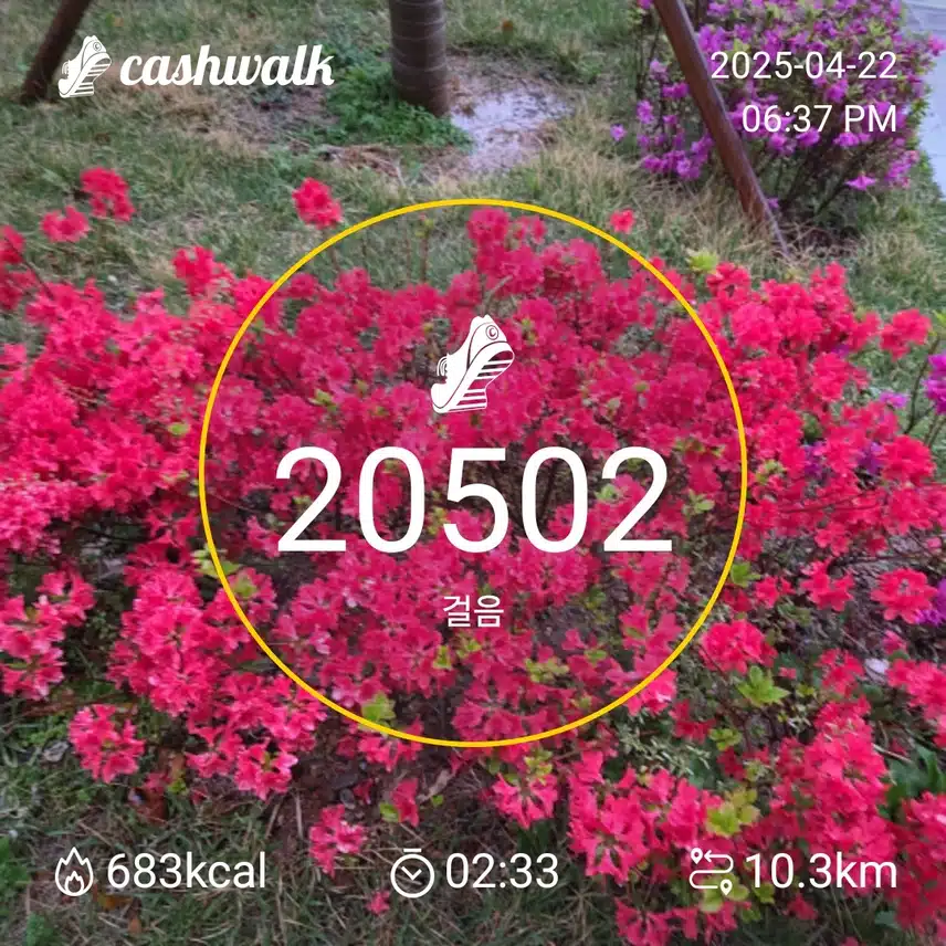 인증