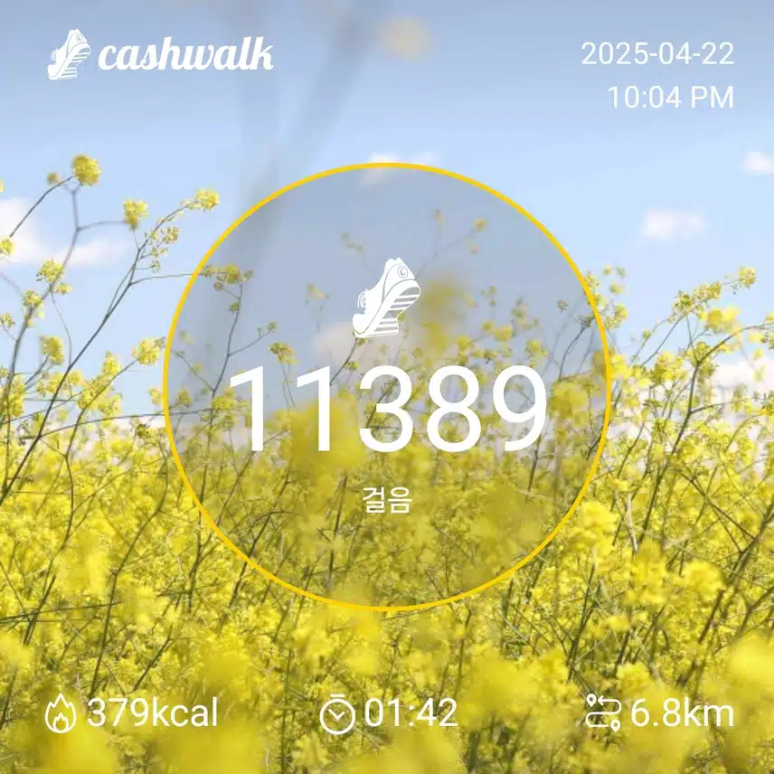 오늘의 걸음 수