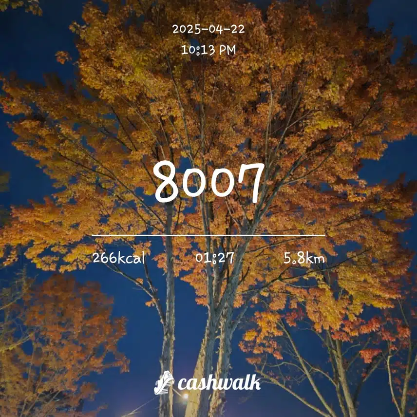 리비힐 바디크림 하루 7천보 5일차 인증