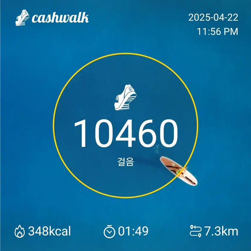 화요일 걷기
