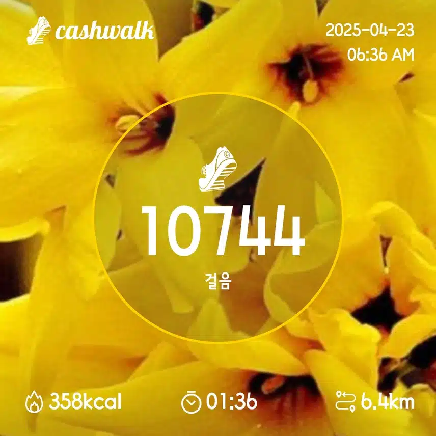 7일차 