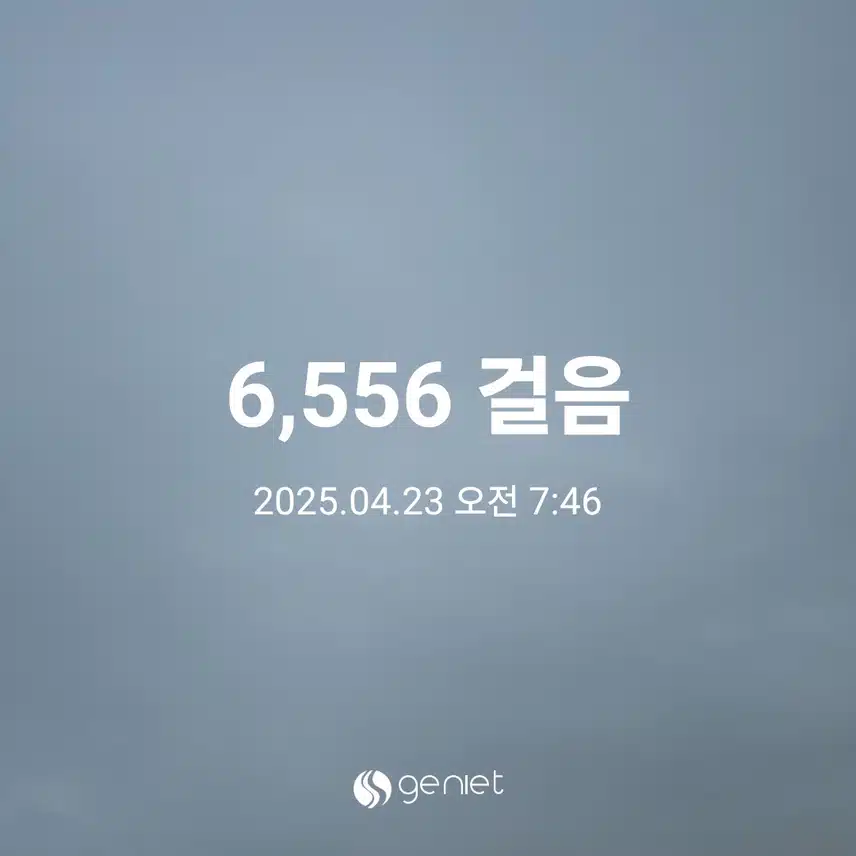 아침 걷기와 출첵 