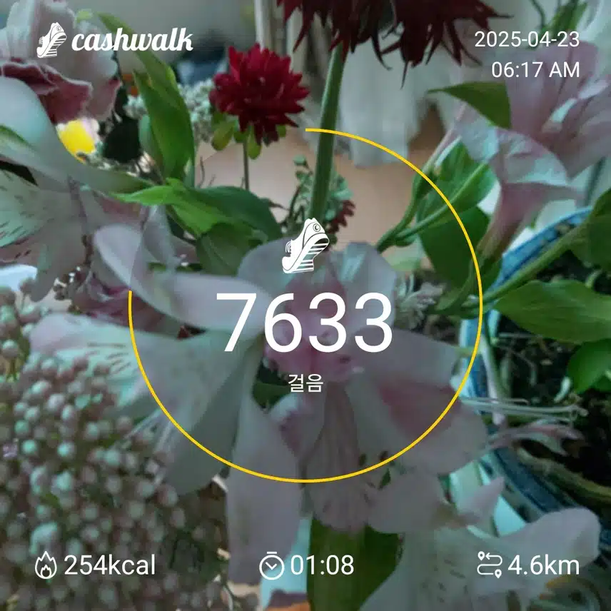 7000보 걷기