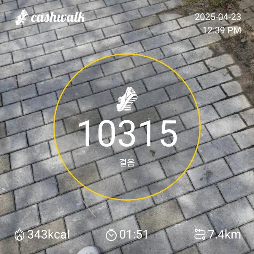 인증 
