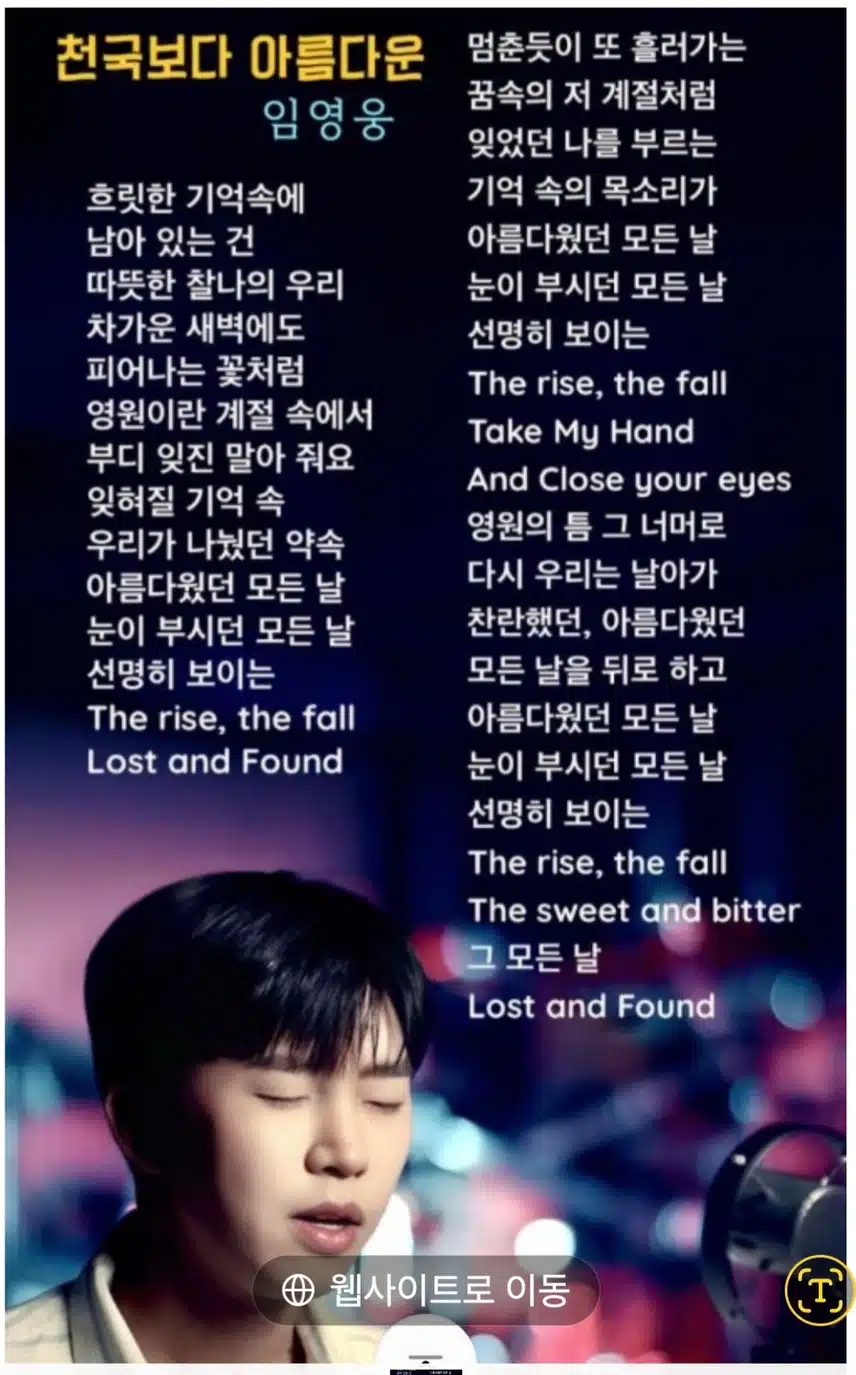 임영웅님이 