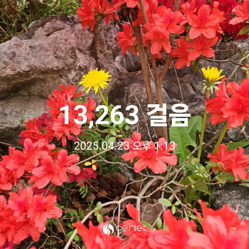 화사한 꽃길로  걷기와 계단오르기로 
