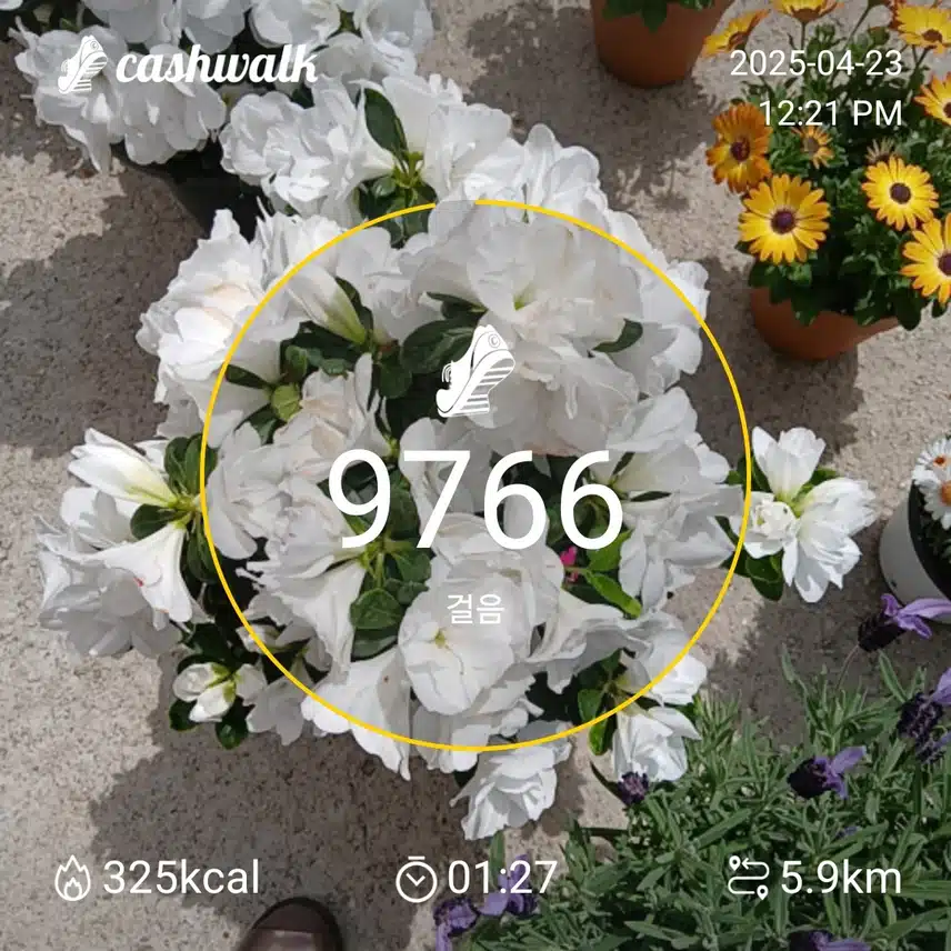 인증 