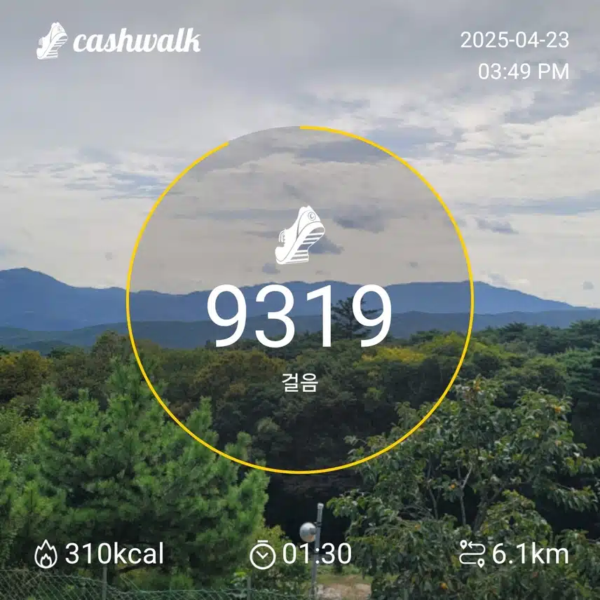 인증 