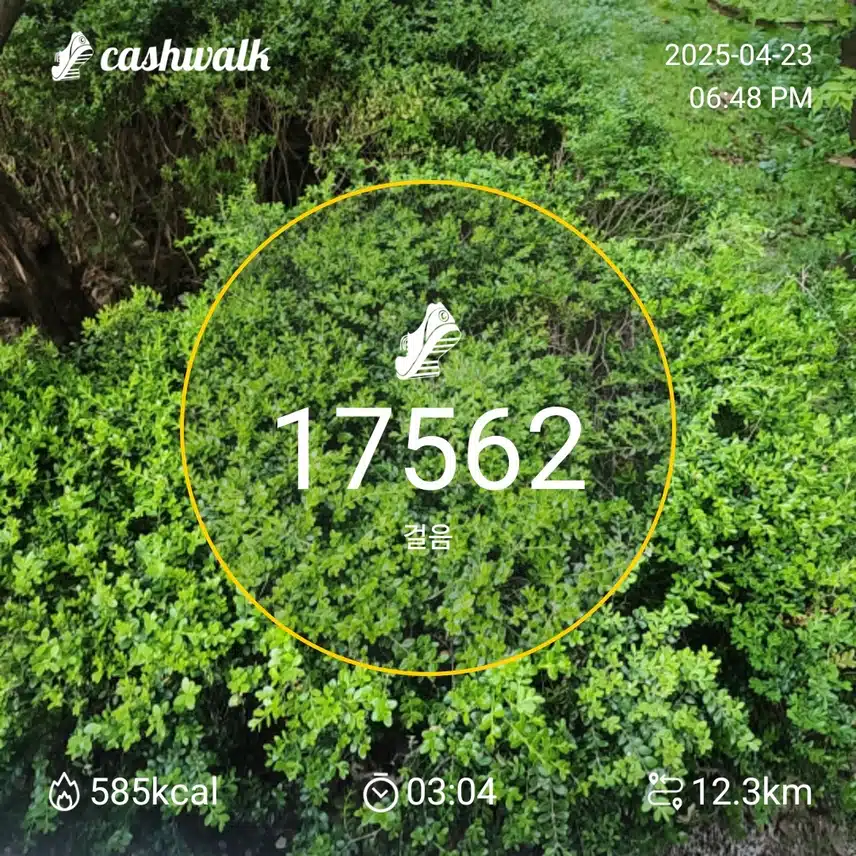 인증