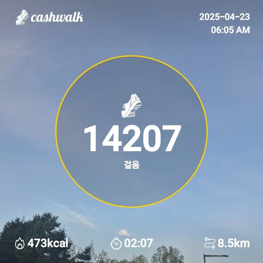 2025년 4월 23일 수요일 걷기 