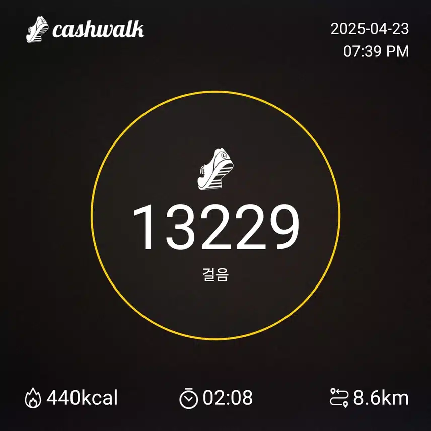 수요일