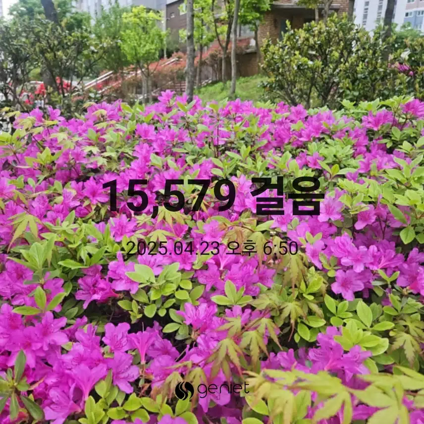 저녁 운동 마무리합니다.