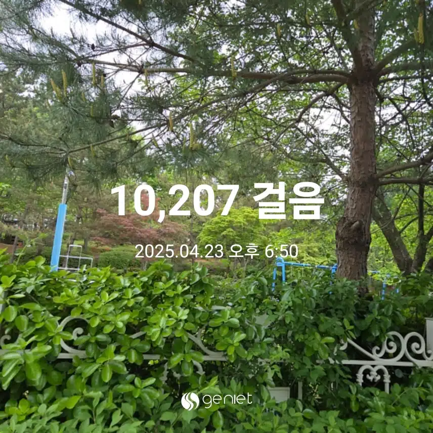 만보 걸었어요 