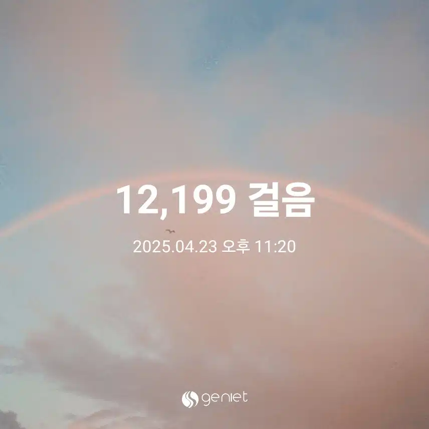 수요일 만보걷기 