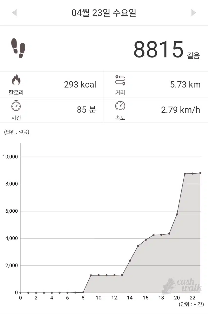 수요일 88백보