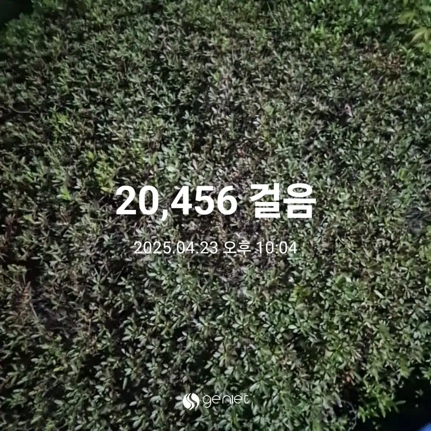 이만보 걸었어요