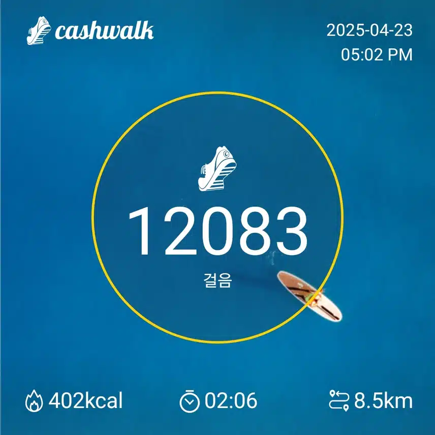 수요일 만보인증 