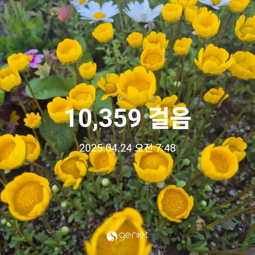 만보완주했어요 