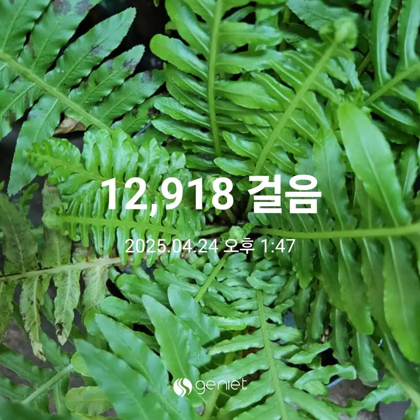 식후 걷기와 계단오르기 