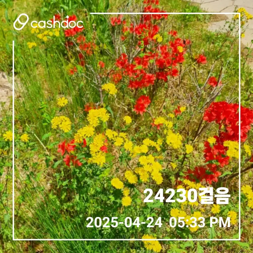     🌸새벽운동과 외출걸음 🌸