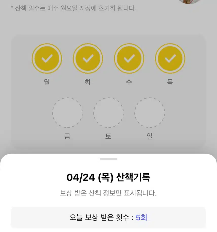 산책코스🏞️