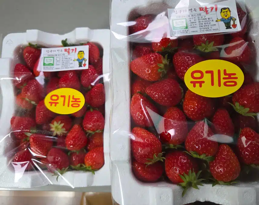 유기농 딸기