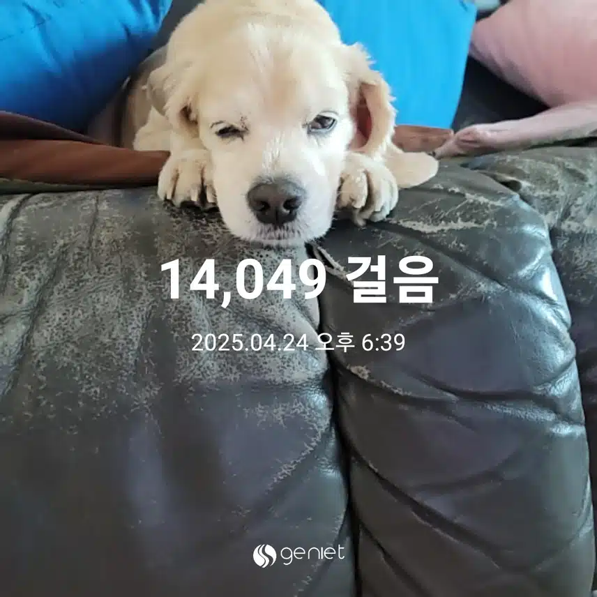 목요일 마무리 