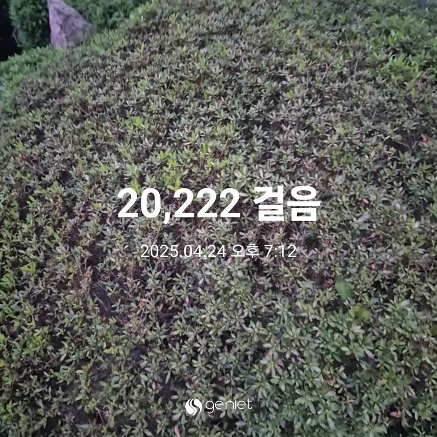 이만보네요.