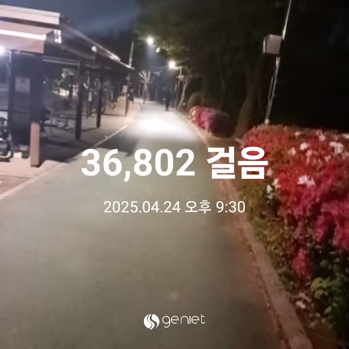 삼만보 걷기 