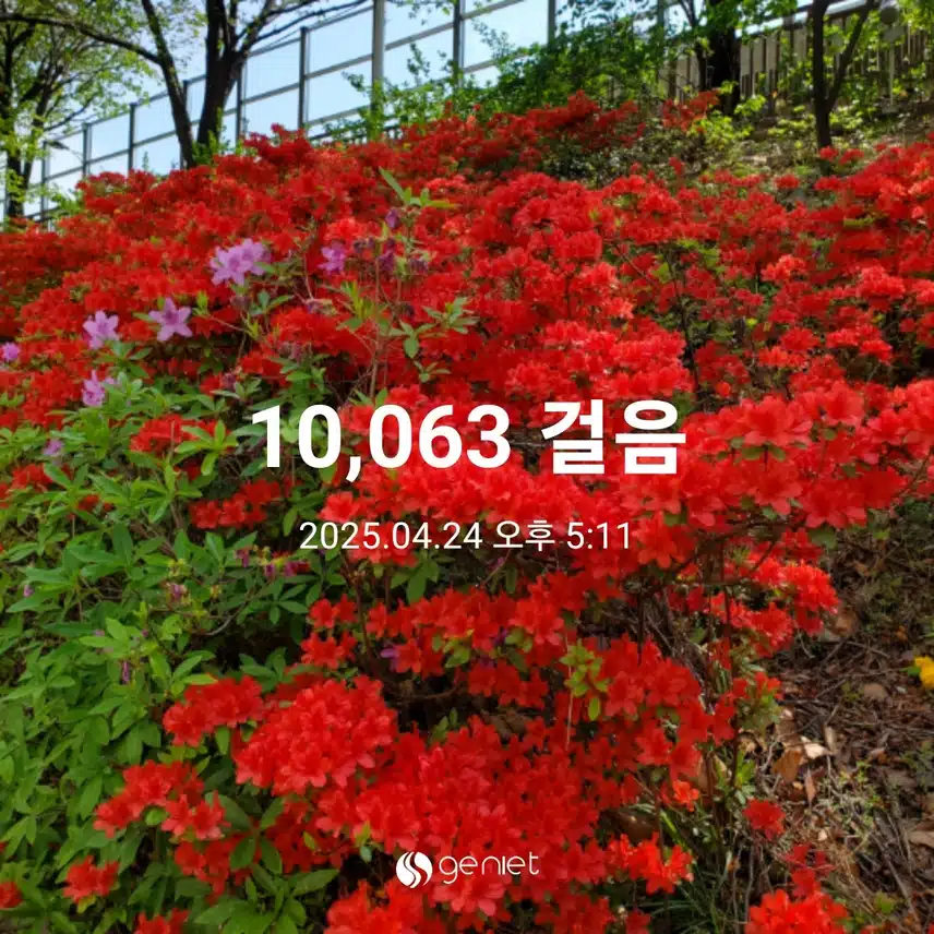 오늘 운동 완료