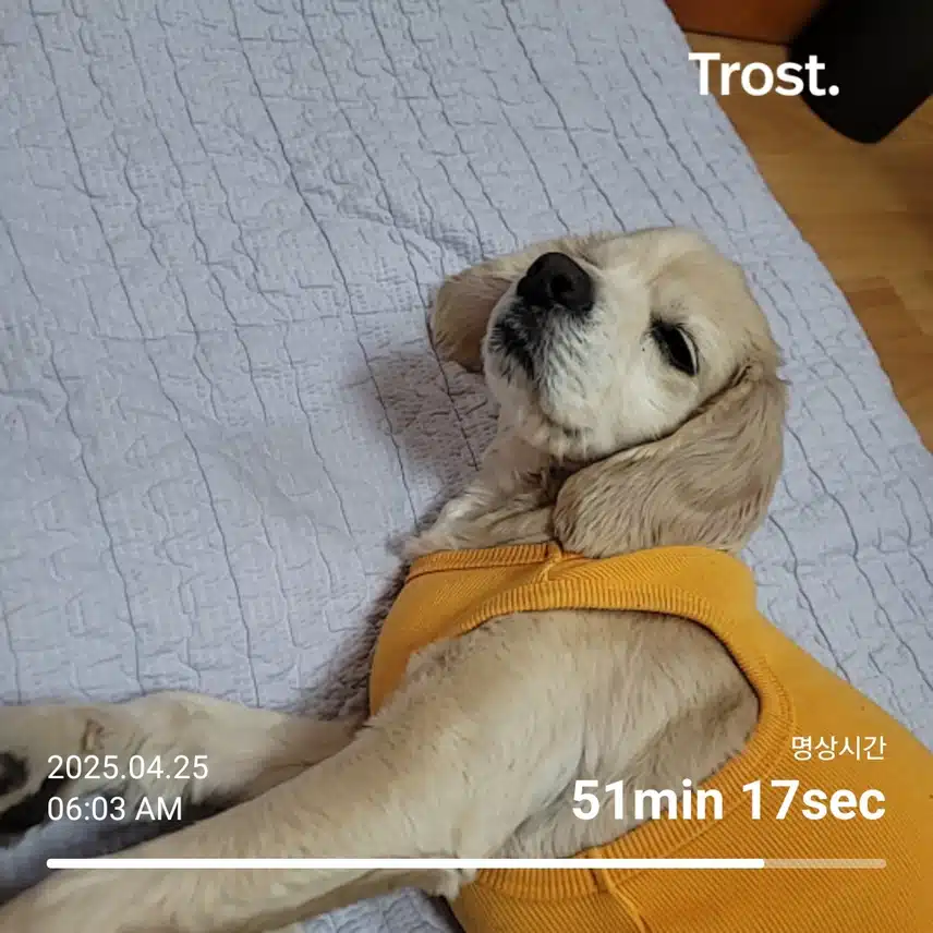 금요일 아침 