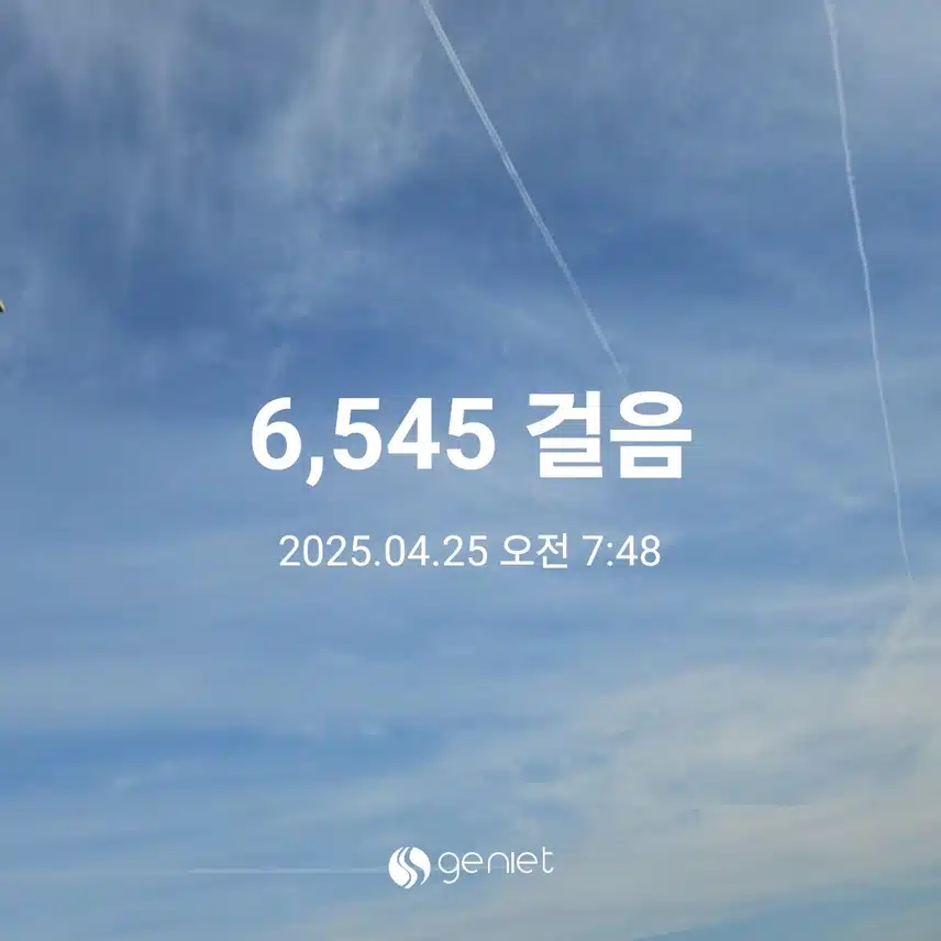 아침 산책길 하늘 ✈️ 