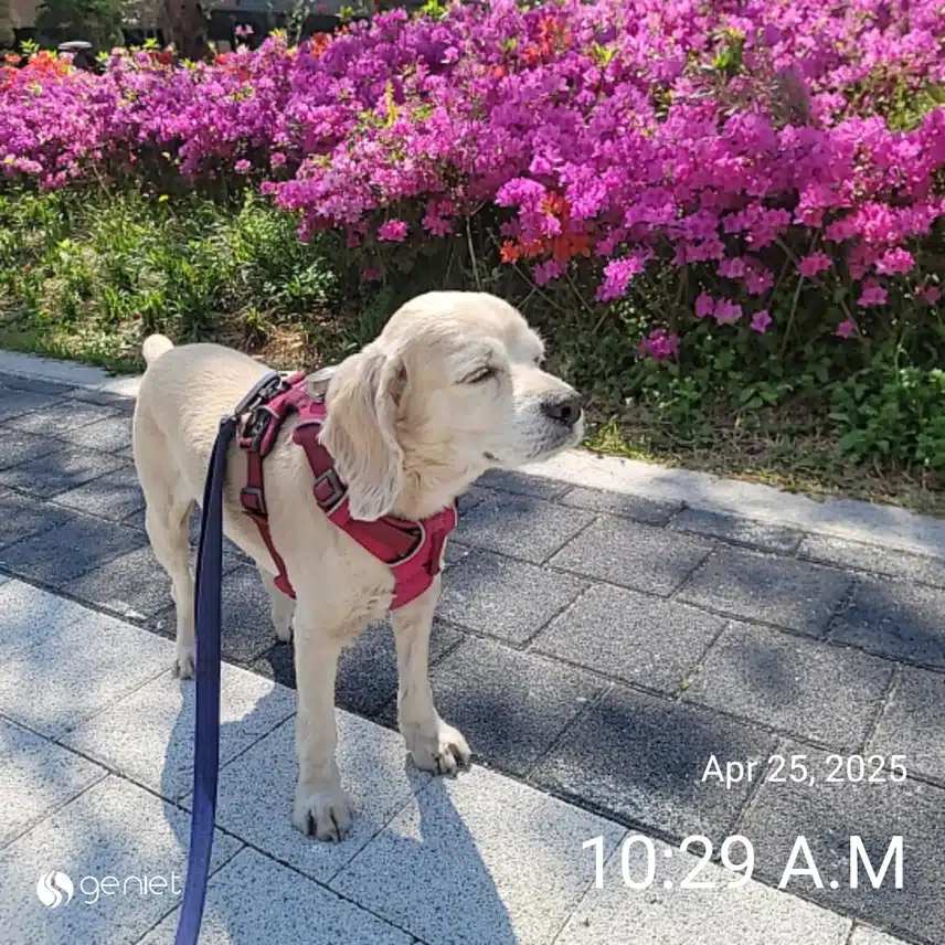 금요일 마무리