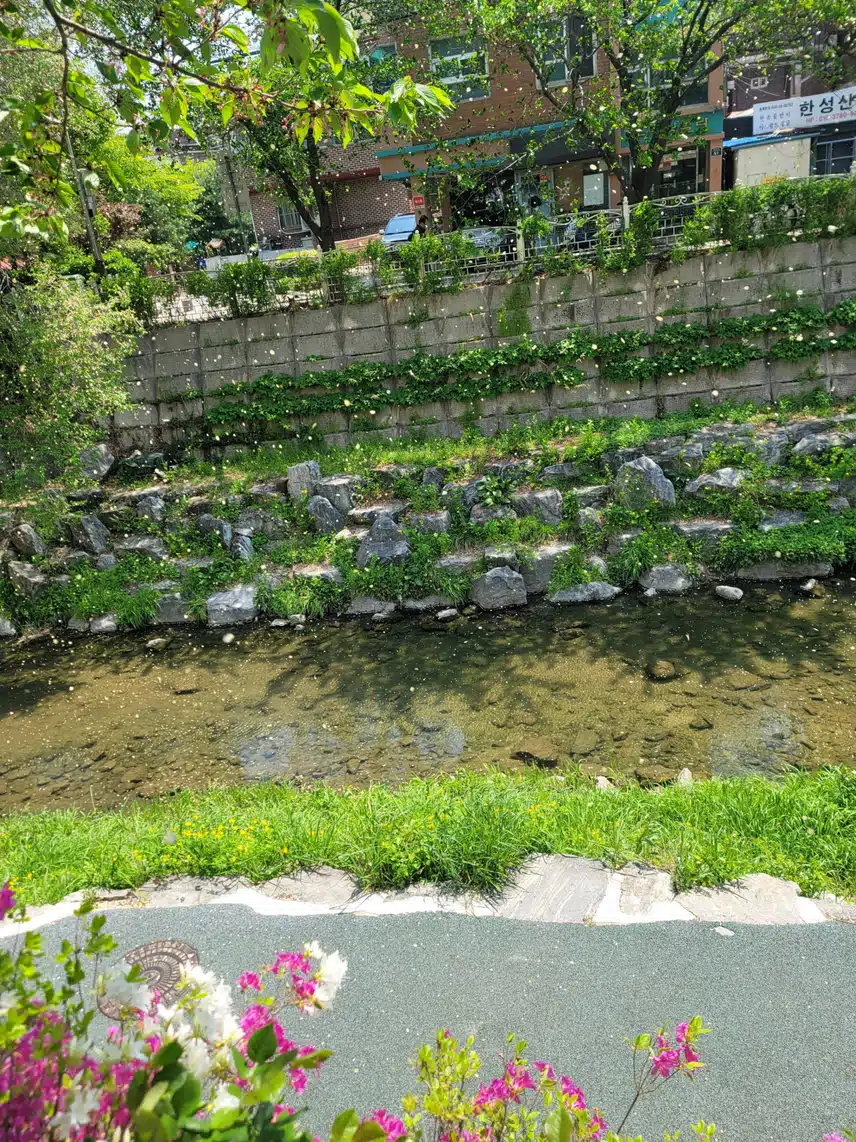 금요일 마무리