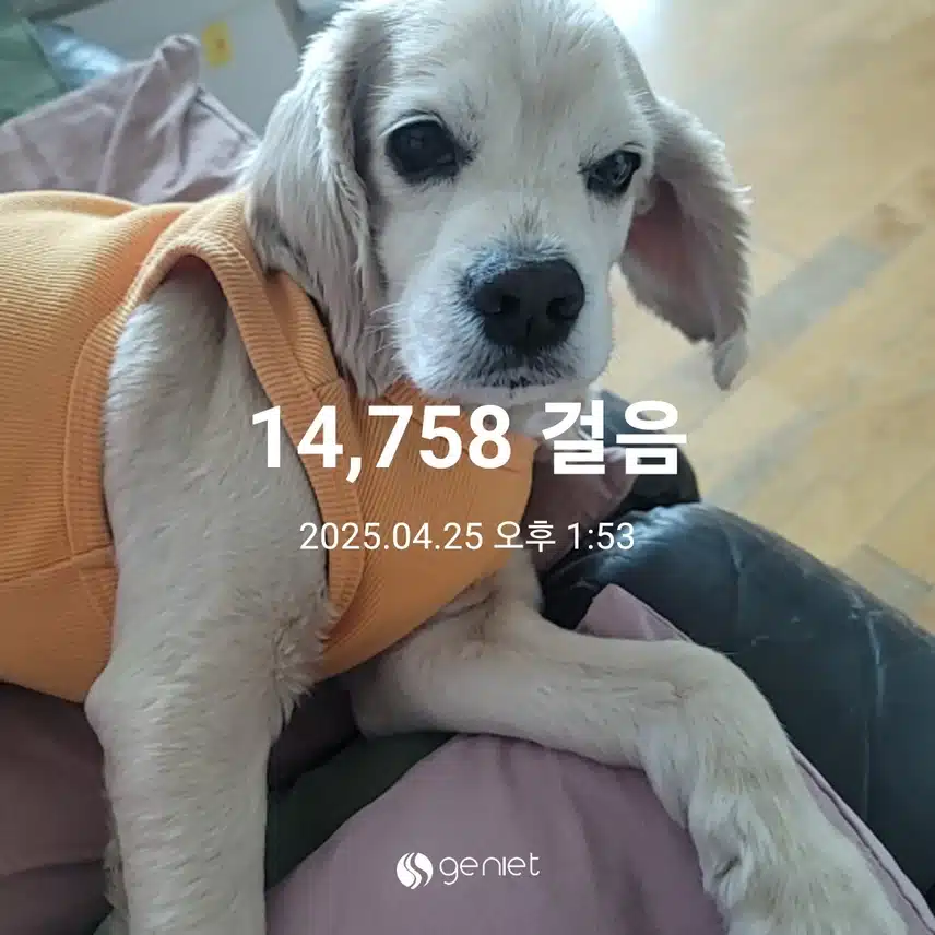 금요일 마무리