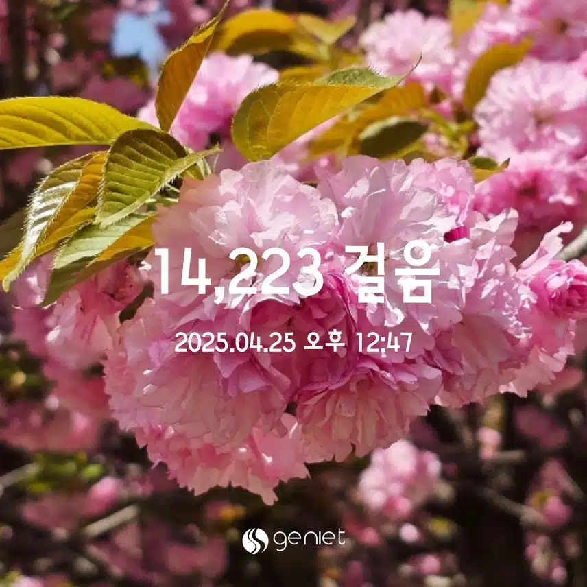4.25 매일  오운완💪🏋‍♀️