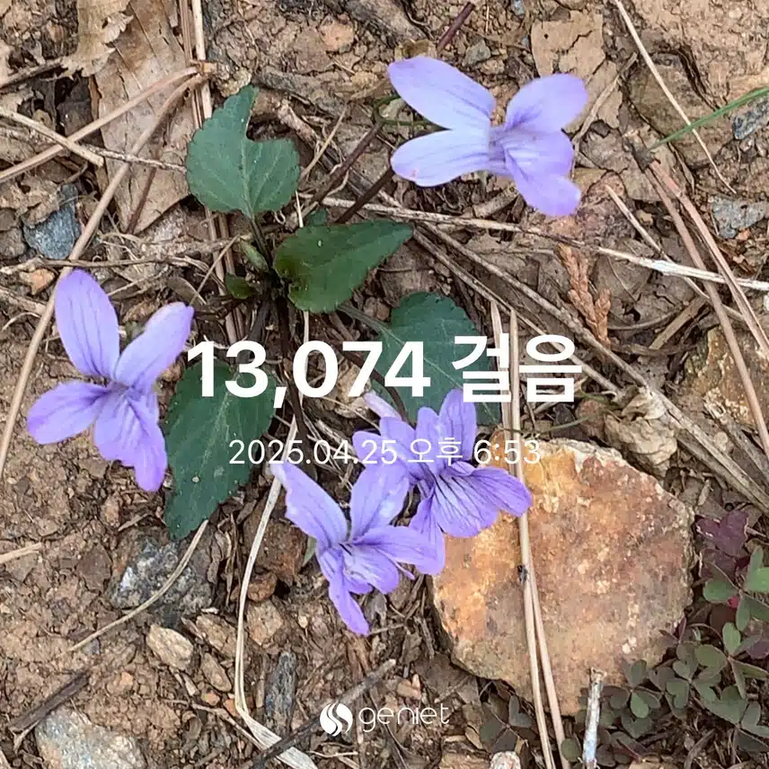 만보 걷기