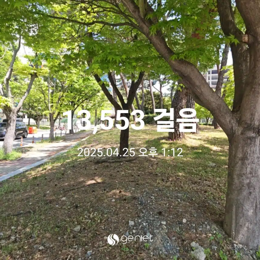 숲길 맨발걷기 산책길 