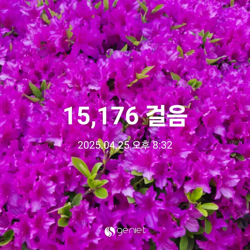 만보완주했어요