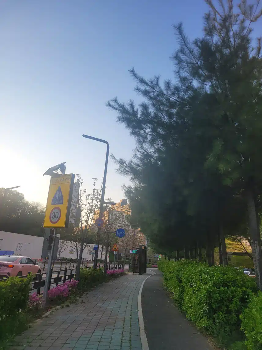 저녁산책