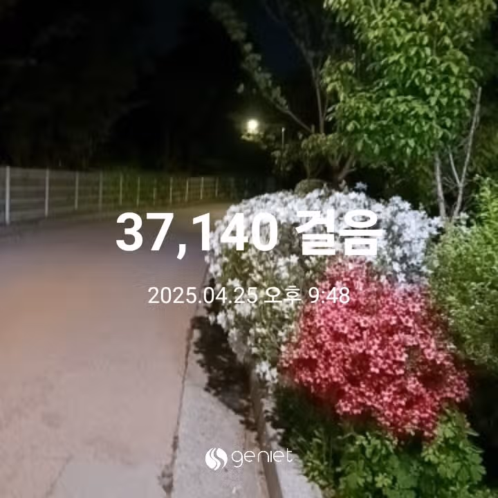 삼만보 걷기 