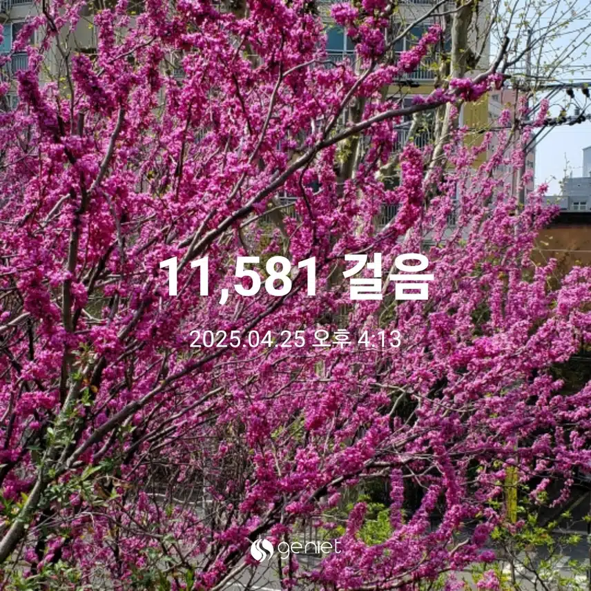 오늘 걷기 완료