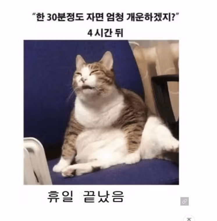 주말 직장인들의 모습