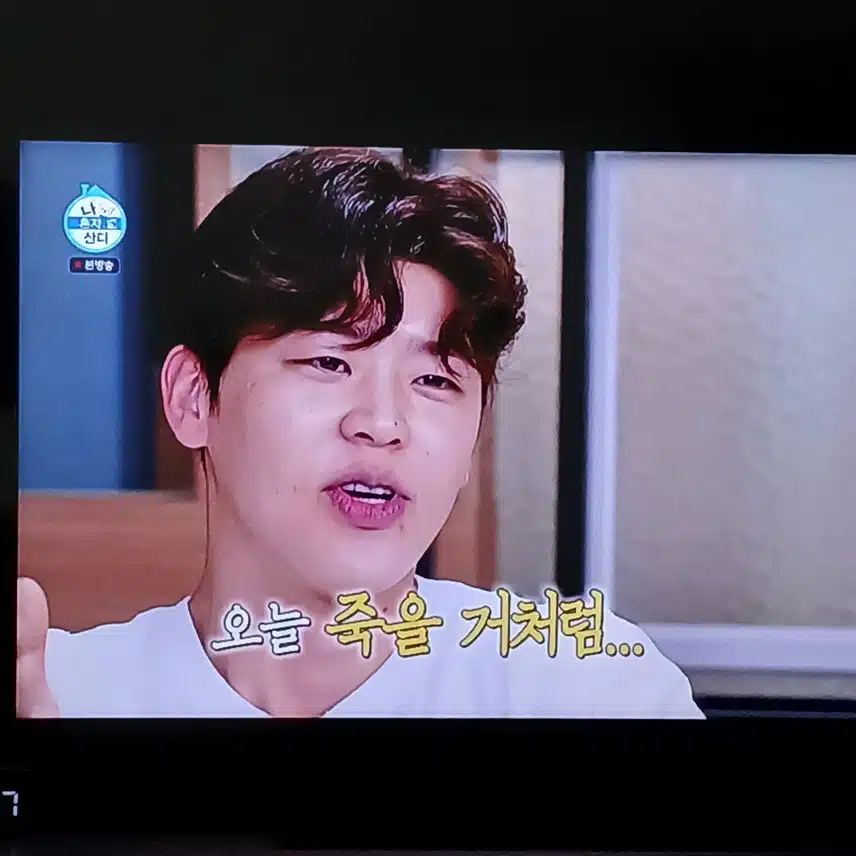 박지현님 나온 나혼자 산다 본방사수 합니다
