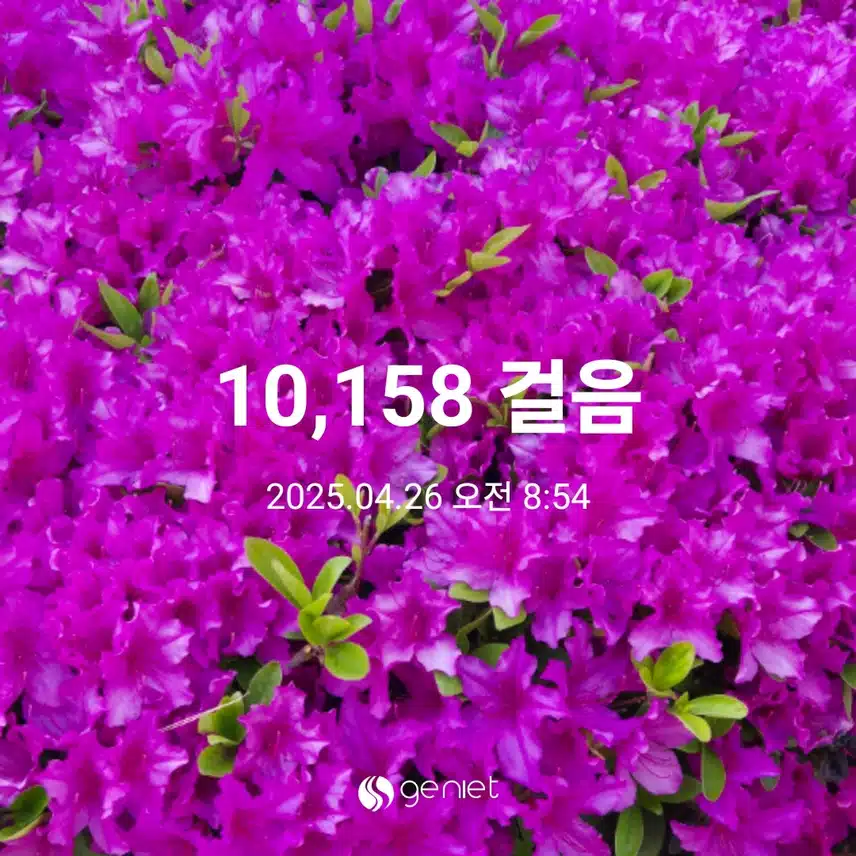 만보완주해요
