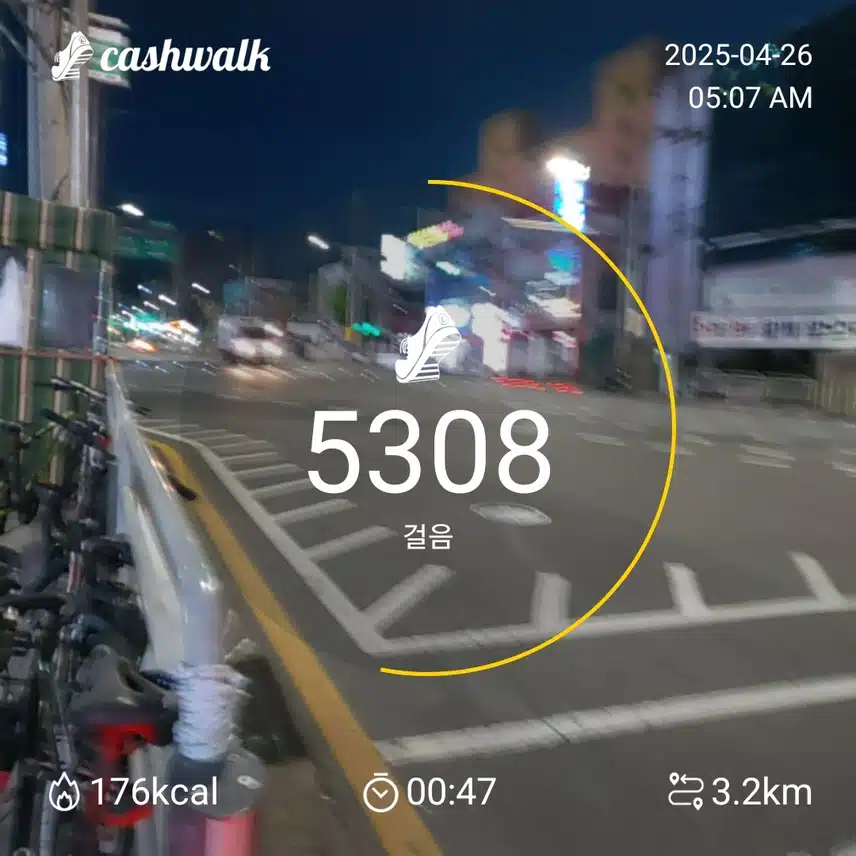 500ㅇ보 걷기