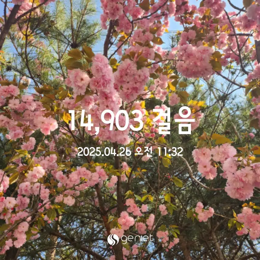 💪4.26  만보걷기 💕