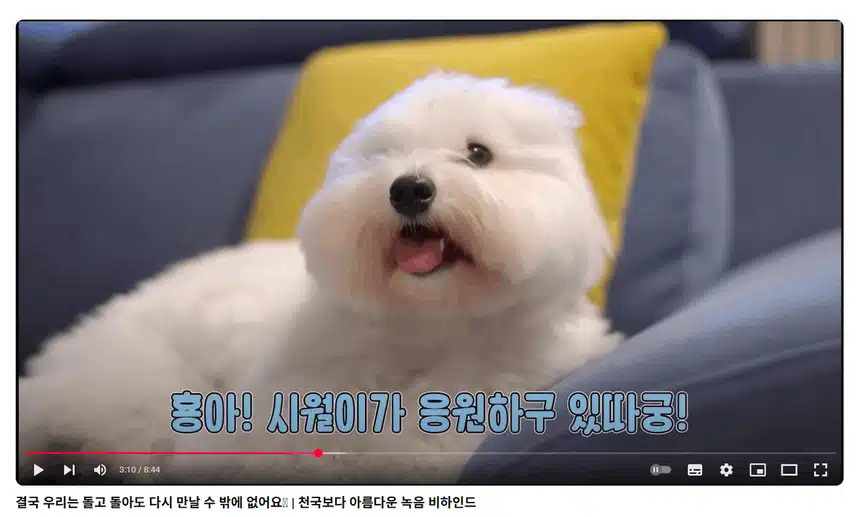 비하인드 영상, 시월이 팬이 될 거 같아요