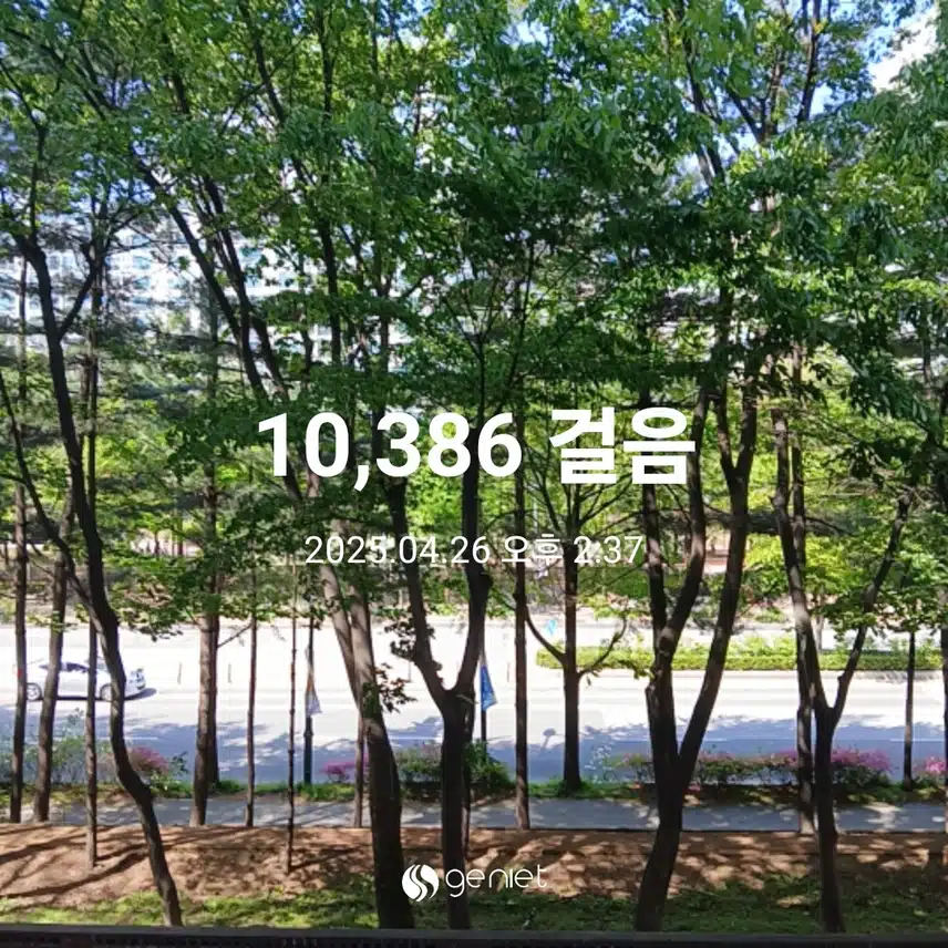 토요일 걷기운동^^